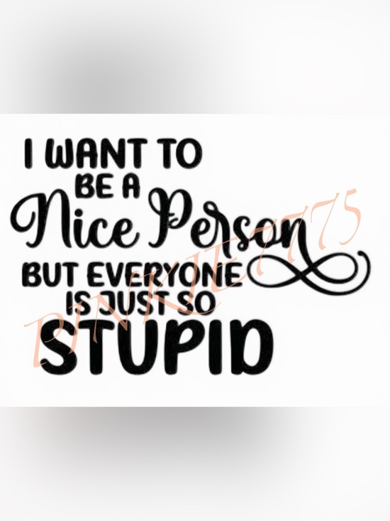 PINKIE7775 Other - Kitchen hand towel with I want to be a nice person 16x27” white